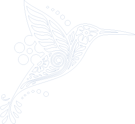 Colibrí de Cine Qua Non Lab