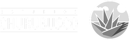 Churubusco logo